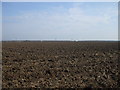Ploughed Field, Necton in PE37 8HY