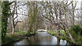 River Wandle at Morden Hall in CR4 4DG