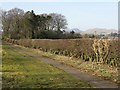 Footpath near Gowkley Moss in EH25 9NJ