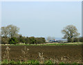 2009 : Overlooking a ploughed field south of Keevil Airfield in BA14 6HQ