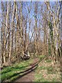Footpath through Poors Mead in TN11 0LD