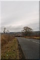 Litter on the roadside, looking towards the outskirts of Brechin. in DD9 6DJ