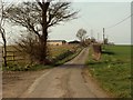 The approach road to Warrens Farm in High Wych