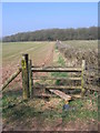 Public Footpath To Kettles Wood, Frankley in B32 4AU