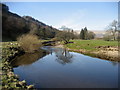 River Wharfe below Birks Wood in BD23 5JU