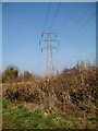 Pylon near Netherstoke in BA22 9RP