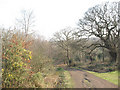 Epping Forest: footpath to Manor Road in Loughton Forest Ward