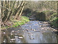 River Rea From The Ford, Mill Walk, Northfield. in B31 4DU