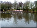 Martin Mere, Wildfowl & Wetlands Centre in L40 0RJ