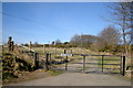 View of track leading to Balmashanner in DD8 2AZ