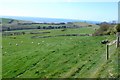 Fields above Abbotsbury in DT3 4JP