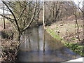 Verwood, River Crane upstream in BH21 6RN