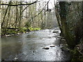 River Frome below Frenchay in BS16 1NB