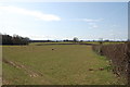 Field off Baregains Lane in HR8 2JX