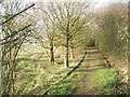 Mid section  of path from Broad Lake to Southmoor Lane in PO9 1RS