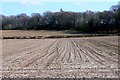 Stubble Field near Redbridge. in DT2 8DY