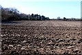 Ploughed Field near Redbridge in DT2 8DY