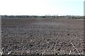 Ploughed field near Tadnoll in DT2 8DS