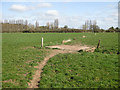 Footpath across Hampton Meadow in HR1 4JU