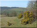 Farmland and the Afon Dulas valley, Ceredigion in SA48 8NL
