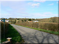 Wood Lane north of Callow Hill in SN15 5EF