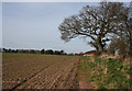 Arable field north of the Weaver in CW5 8DB