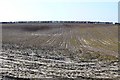 Stubble Field near Owermoigne in DT2 8EA