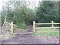 Footpath through the woods in RG40 4BY