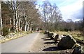 Road between Drumshalloch Wood and Loch of Leys. in AB31 5BT