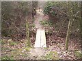 Footbridge over ditch in TN27 9LE