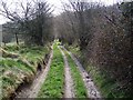 Byway near Manwood Copse in SP5 5QF