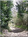 Byway towards the Ox Drove in SP5 5QF