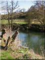 River Lugg, north of Mordiford in HR1 4LS