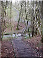 Footbridge ,stream and stairs near River Hodder in BB7 9PZ