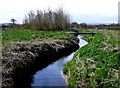 Stream at Brook Green in TA19 9JB