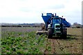 Harvesting Beet in TA19 0QS