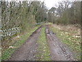 Track at Morham Mains Farm. in EH41 4LH