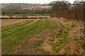 Footpath from Holdaway's Farm in Brimpton