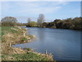 Down stream, River Great Ouse in MK46 4AU
