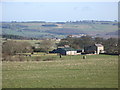 Pastures west of Firtrees Farm in NE46 2NT
