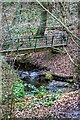 Footbridge, Marton West Beck in TS8 9ZD