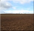 Cultivated field at Stockbridge in TD13 5YH