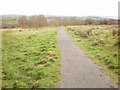 Footpath, Rowley Park in BB10 4LZ