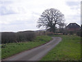Quiet lane near Trescott in WV6 7EY