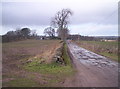 Track to Little Fithie in DD9 6UF