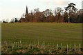 Towards Brimpton church in Brimpton