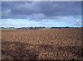 Ploughed Field and Willanyards in DD9 6UG