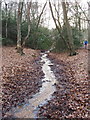 Stream in Burnham Beeches in SL2 3EN