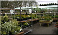 Northwood Garden Centre, Clayton Road in ST5 4AD
