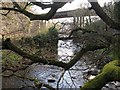 The Water of Leith passes under the city bypass in EH14 5BA